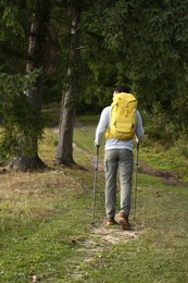 Man with backpack and trekking poles on trail, back view. Tourism equipment