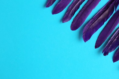 Photo of Purple feathers on light blue background, flat lay. Space for text