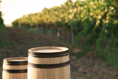 Wooden barrels standing in vineyard on sunny day. Wine production