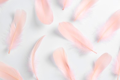Beautiful light pink feathers on white background, flat lay