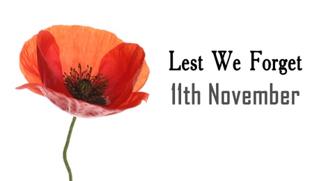 Remembrance day banner. Red poppy flower and text Lest We Forget 11th November on white background