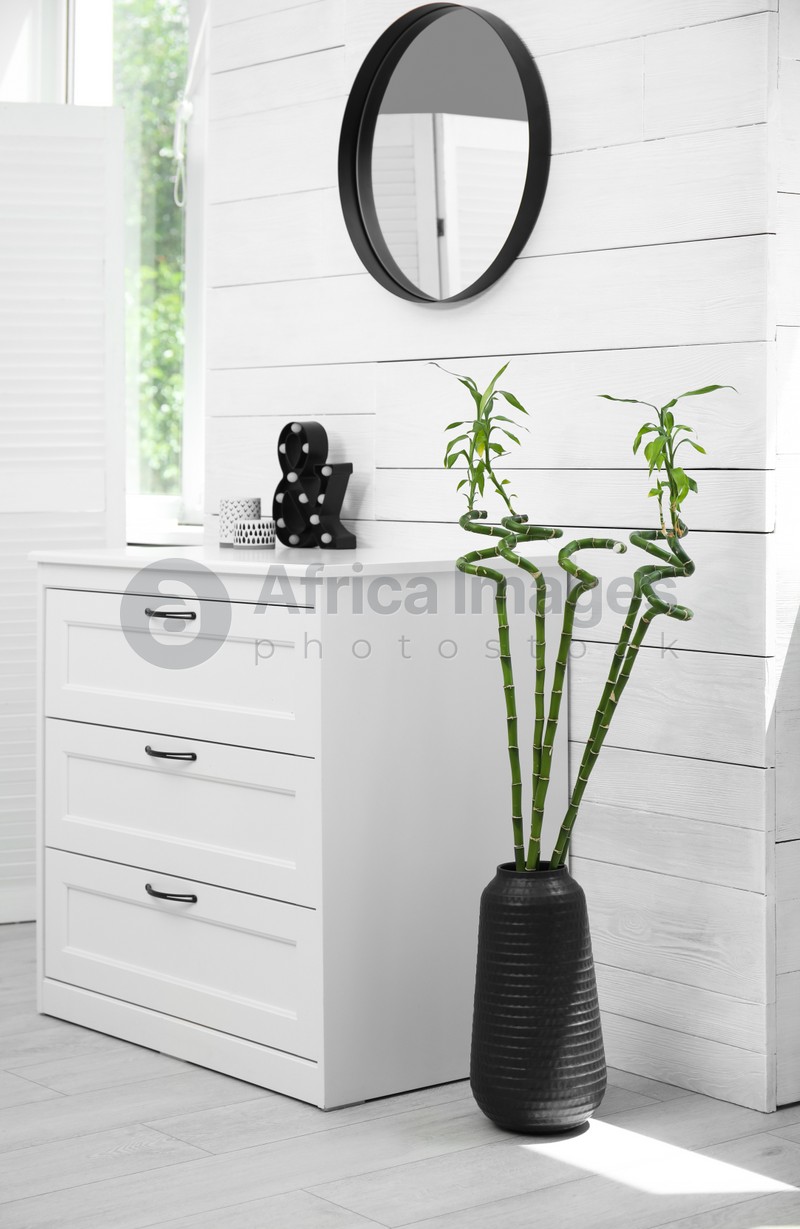 Vase with Lucky bamboo on floor near chest of drawers in room. Stylish interior