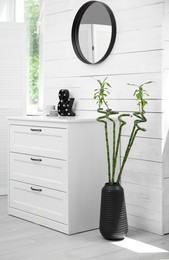 Vase with Lucky bamboo on floor near chest of drawers in room. Stylish interior