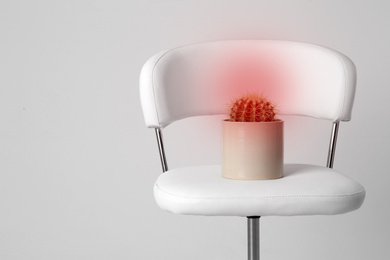 Hemorrhoid concept. Chair with cactus isolated on white