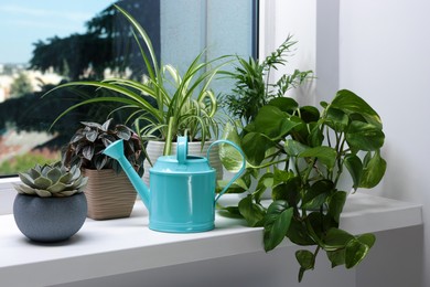 Different beautiful houseplants and light blue metal watering can on window sill indoors