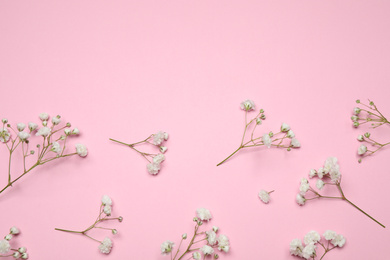 Beautiful floral composition with gypsophila on pink background, flat lay. Space for text