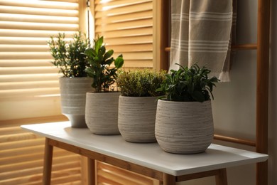 Different potted herbs on wooden table indoors
