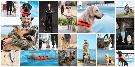 Collage with photos of people with service dogs, banner design