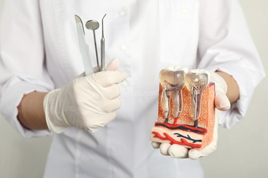 Dentist holding educational model of jaw section with teeth and tools on light background, closeup