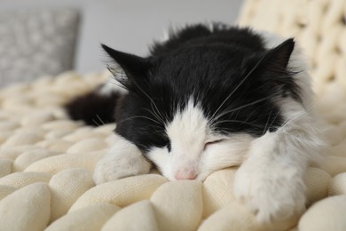 Photo of Cute cat sleeping on sofa at home, closeup. Lovely pet