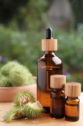 Bottles of essential oil and thorn apple on wooden table, closeup