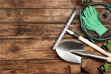 Flat lay composition with gardening tools and plants on wooden background. Space for text