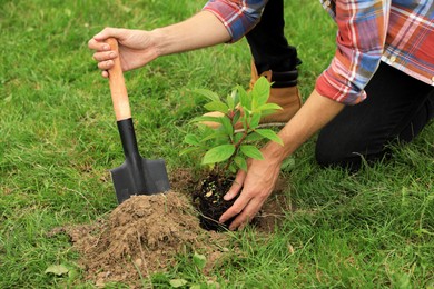 Photo of Man planting young green tree in garden, closeup