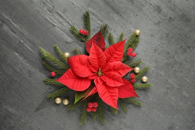 Flat lay composition with beautiful poinsettia on grey background. Christmas traditional flower