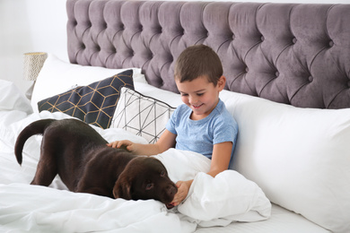 Funny puppy and little boy in bed at home. Friendly dog