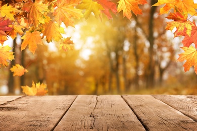 Image of Empty wooden surface and beautiful autumn leaves in park