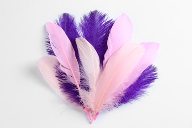 Photo of Beautiful purple and light pink feathers on white background