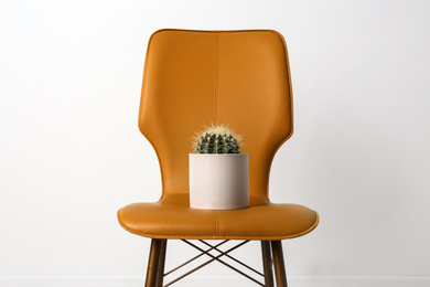 Chair with cactus on white background. Hemorrhoids concept