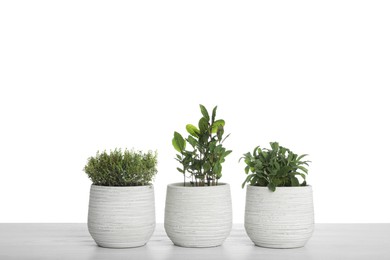 Pots with thyme, bay and sage on table against white background