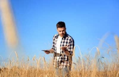 Photo of Agronomist with clipboard in wheat field. Cereal grain crop
