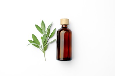 Bottles of essential sage oil and twig on white background, top view