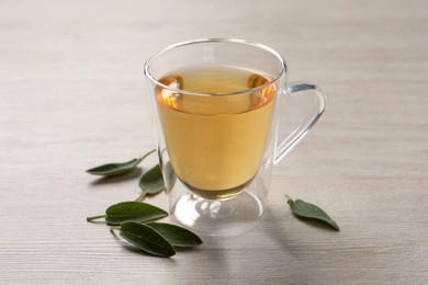Glass cup of sage tea and green leaves on wooden table