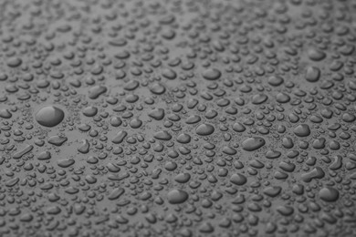 Many water drops on grey background, closeup