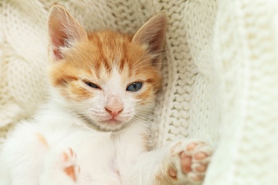 Photo of Cute sleepy little red kitten on white knitted blanket, closeup view