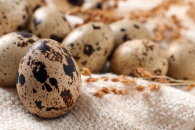 Fresh quail eggs on white burlap fabric, closeup
