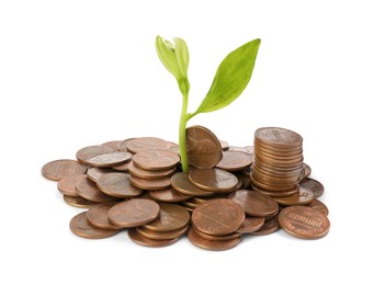 Pile of coins and green plant on white background. Investment concept