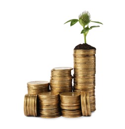 Stacks of coins with flower isolated on white. Investment concept
