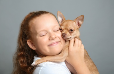Little girl with her Chihuahua dog on grey background. Childhood pet