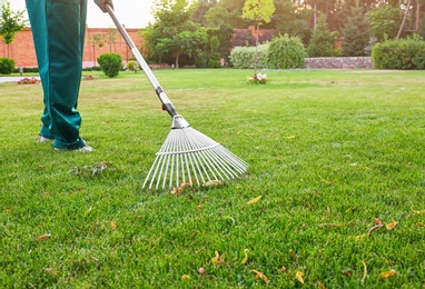 Woman raking green lawn at backyard. Home gardening