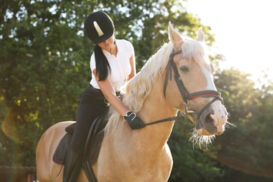 Young woman in equestrian suit riding horse outdoors on sunny day. Beautiful pet