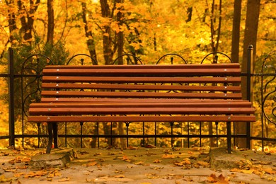 Wooden bench and yellowed leaves in park on sunny day