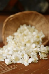 Beautiful white jasmine flowers on wooden table, closeup. Space for text
