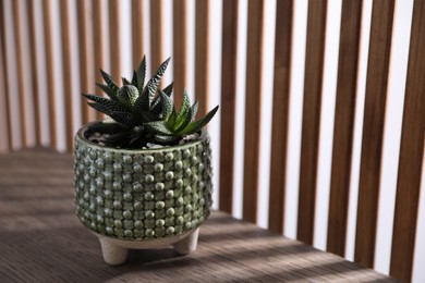Photo of Beautiful houseplant in pot on wooden table