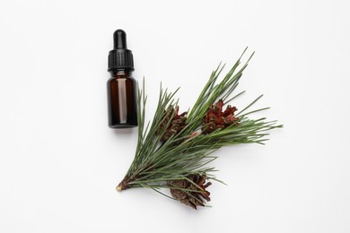 Glass bottle of essential oil and pine branch with cones on white background, top view