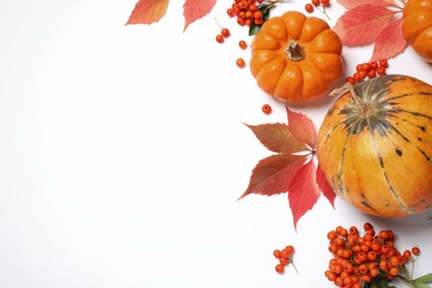 Flat lay composition with pumpkins, berries and autumn leaves on white background, space for text. Thanksgiving Day