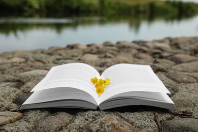 Open book with yellow flowers on stones near river