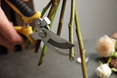 Florist cutting flower stems with pruner at workplace, closeup