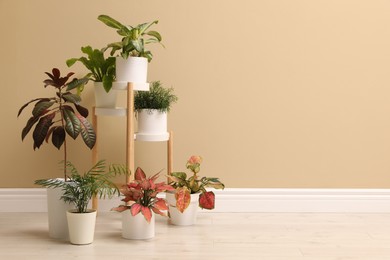 Photo of Different beautiful houseplants near beige wall indoors, space for text. Interior design