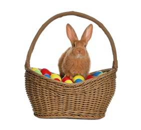 Adorable furry Easter bunny in wicker basket with dyed eggs on white background
