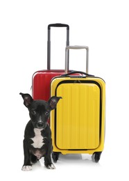 Image of Cute dog and bright suitcases packed for journey on white background. Travelling with pet