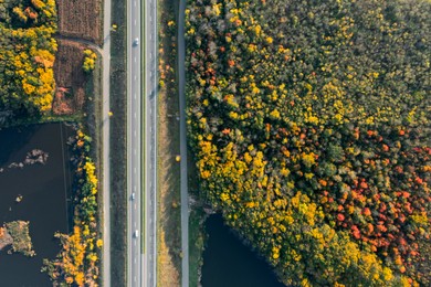 Aerial view of road bridge across river near beautiful autumn forest