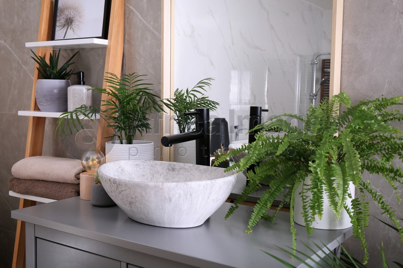 Stylish vessel sink and beautiful green houseplants in bathroom