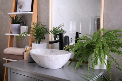Stylish vessel sink and beautiful green houseplants in bathroom