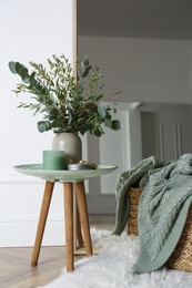 Photo of Beautiful living room interior with eucalyptus branches