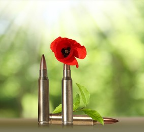 Beautiful blooming poppy flower and bullets outdoors on sunny day. Peace instead of war
