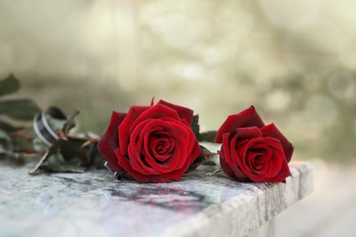 Red roses on granite tombstone outdoors. Funeral ceremony